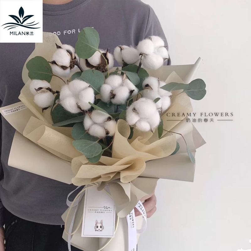 Flor seca algodón DIY kapok hecho a mano algodón flor permanente ramo de la cabeza de algodón material de embalaje Accesorios Al Por Mayor