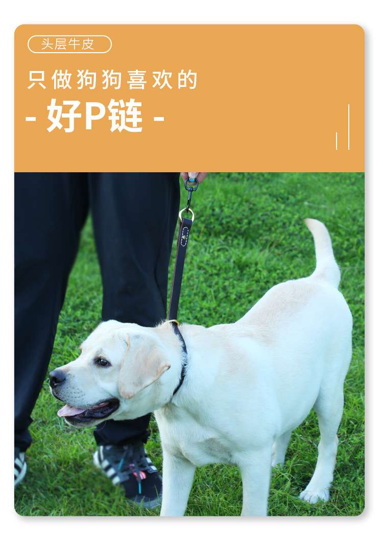 狗绳详情页_04.jpg