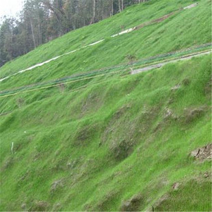 �ɶ�߅�¾G���F�z�W�S�� �Vɽ�G������ֲ���F�z�W ߅���^䓽z�W