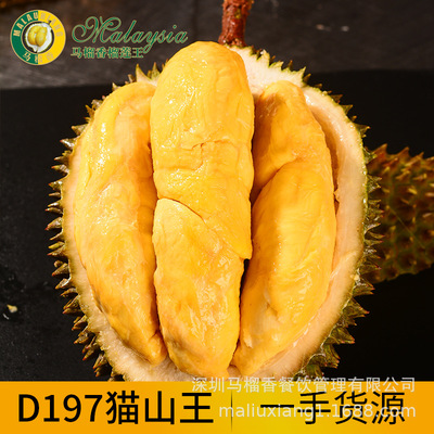 马来西亚进口猫山王榴莲D197新鲜液氮冷冻水果保鲜整果顺丰包邮|ru