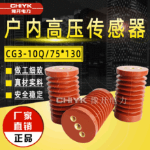 10kV高压带电显示装置传感器 CG3-10Q/75*130环氧树脂高压传感器