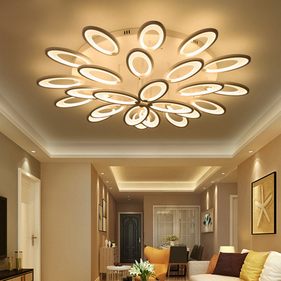 客厅灯具现代简约北欧创意大气家用卧室灯具2020年新款lde吸顶灯|ru