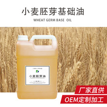 精油廠家批發小麥胚芽油美容口紅原料 小麥胚牙油基礎油