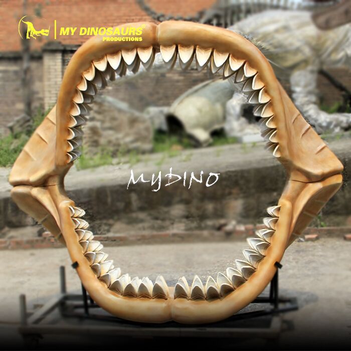 源頭廠家-大型巨齒鯊下頜骨骼模型 仿真海洋動物骨架化石裝飾擺件