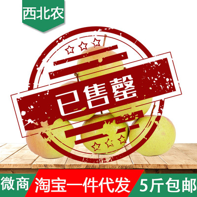 甘肃张掖苹果梨 2019年新果上市 2.5kg新鲜大果鸭梨冻梨现摘现发|ru