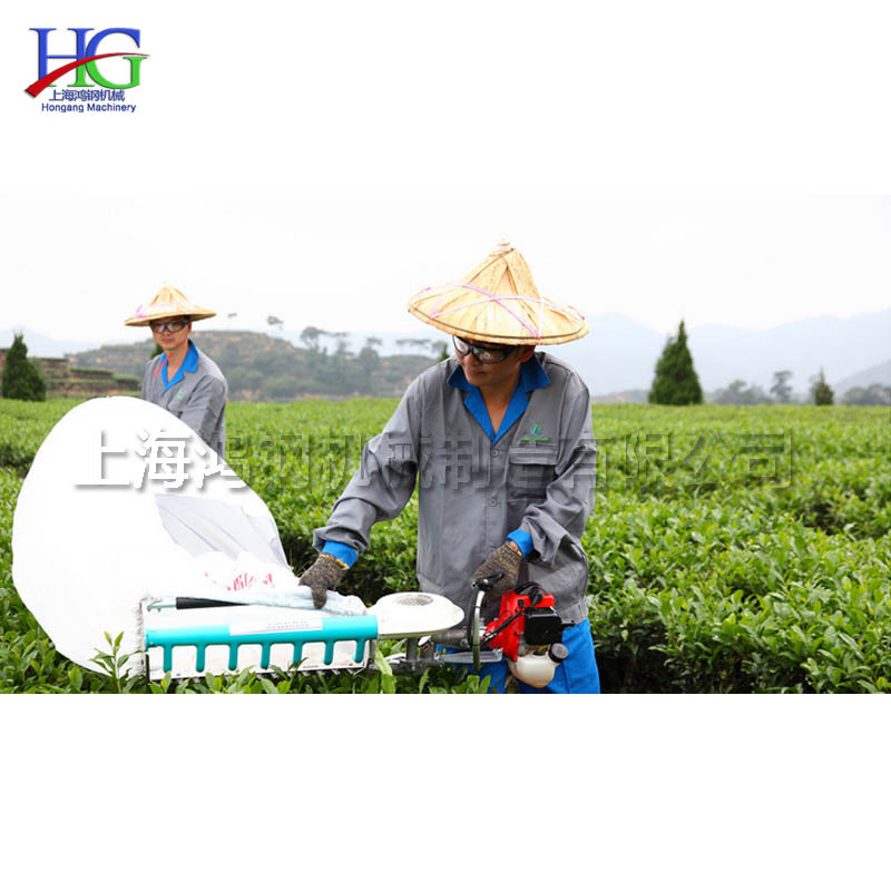 钛合金刀片茶叶摘取机 茶园红茶绿茶采茶机 厂家供应茶叶摘茶机