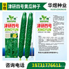 Huayujinyan No. 4 cucumber seed manufacturer wholesale vegetable garden fast -growing spring and autumn cucumber cucumber cucumber seed seed vegetables 孑