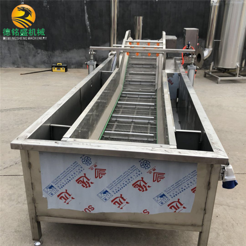 自动输送出料的蔬菜类气泡清洗机 青桔喷淋清洗设备 草莓清洗机