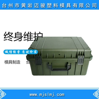 注塑成型工具箱开模定制 支持注塑加工 浙江黄岩模具定制价格合理