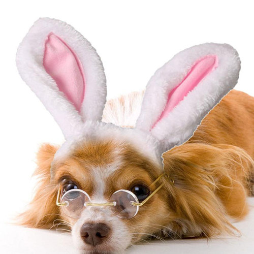 Chibi Pet Dog and Cat Cute Head Accessories for Christmas Birthday Party Bunny Ear Head Flowers