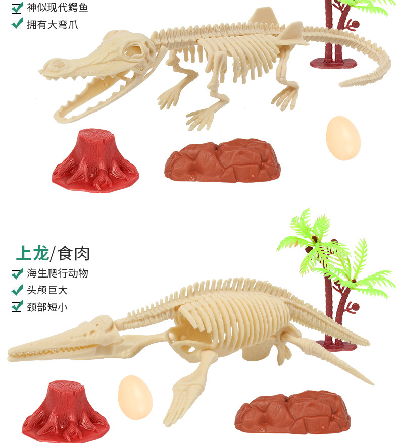 恐龙化石_07.jpg