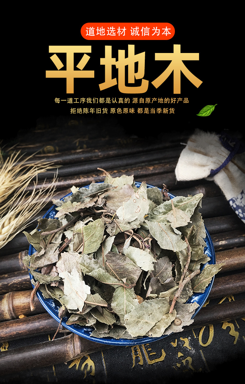 Dried Ardisia Herb Ping Di Mu Whole Herb Traditional TCM Botanical 1kg key features