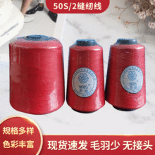 �S�ҹ���50S/2��]�p�x�� ������w�S����߅���ֿp�� �tɫ�p�x��