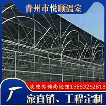 ��Ĥ���Ҵ��ﱡĤ�B�Ӝ��Ҵ���POĤ���ܜ��ҷNֲ�Bֳ��������