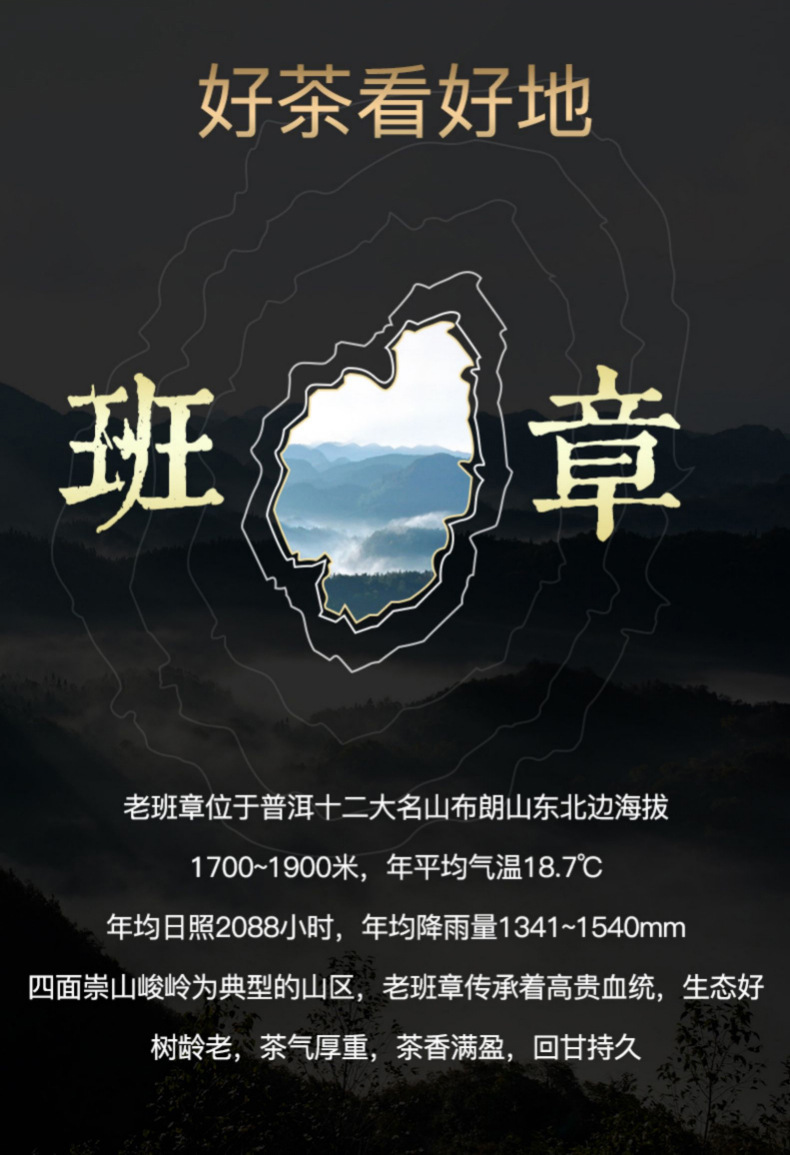 班章贡饼_03.jpg