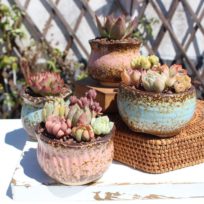 Kiln-style succulent plant flowerpot stoneware breathable thumb pot large diameter platter retro pottery pot simple creative flowerpot