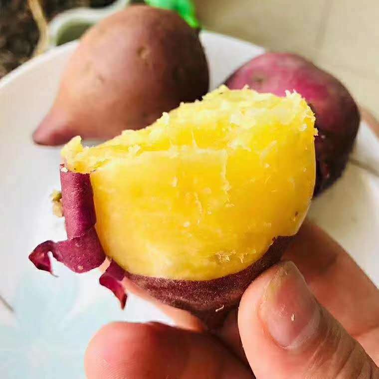 海南澄迈桥头富硒地瓜红薯3斤5斤中大果黄心板栗薯小香薯一件代发