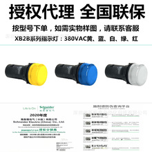 ԭ�SXB2Bָʾ��XB2BVQ5LC XB2BVQ1LC XB2BVQ3LC XB2BVQ4LC