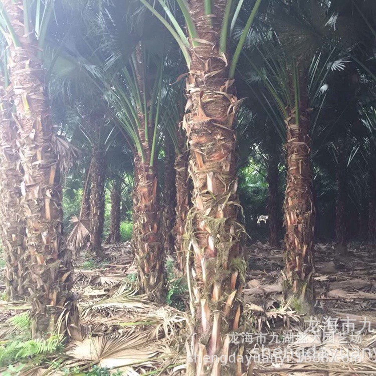 IMG_5643(20200229-000023)