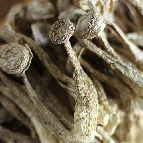 Antler Mushroom 250g, Yunnan Edible Mushroom Dried Product, Farm Specialty for Soup and Stir-frying, Factory Wholesale and Shipping