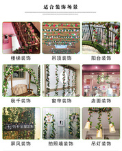 �S�����l����Gֲ�������҃ȱڒ�ˮ���ڳ����b������ٗlõ�廨