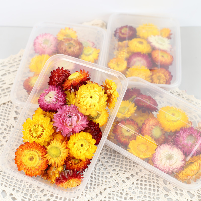 Yunnan Dried flowers Colorful Chrysanthemum head Straw Ju Daisy DIY Flower material Manufactor Direct selling Kunming Straight hair