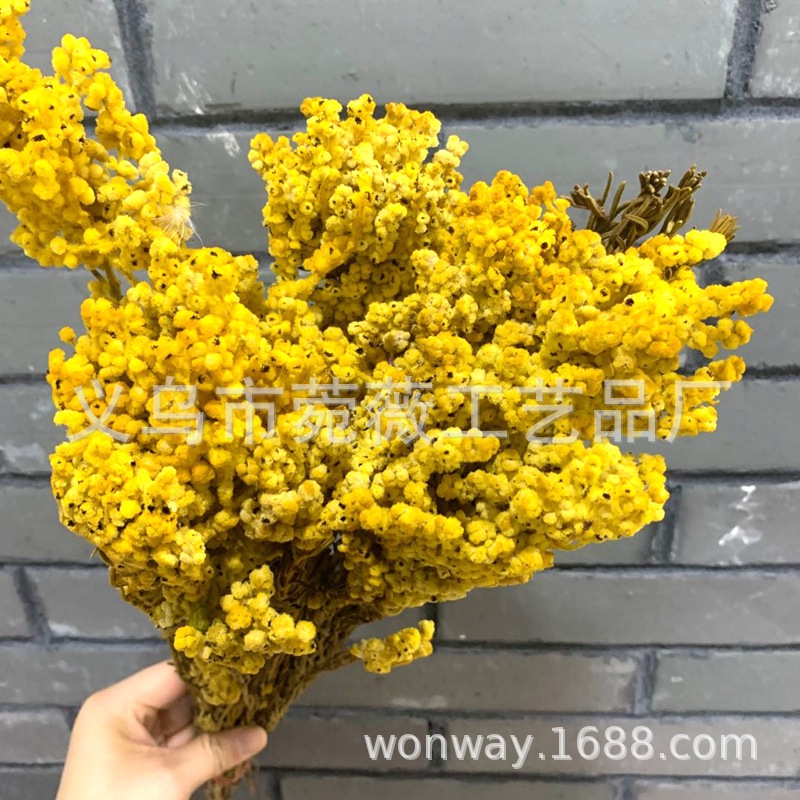 微信图片_20200503143300