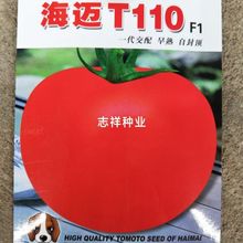 海迈T110F1杂交西红柿种子蔬菜种早熟自封顶大红果西红柿好吃好卖