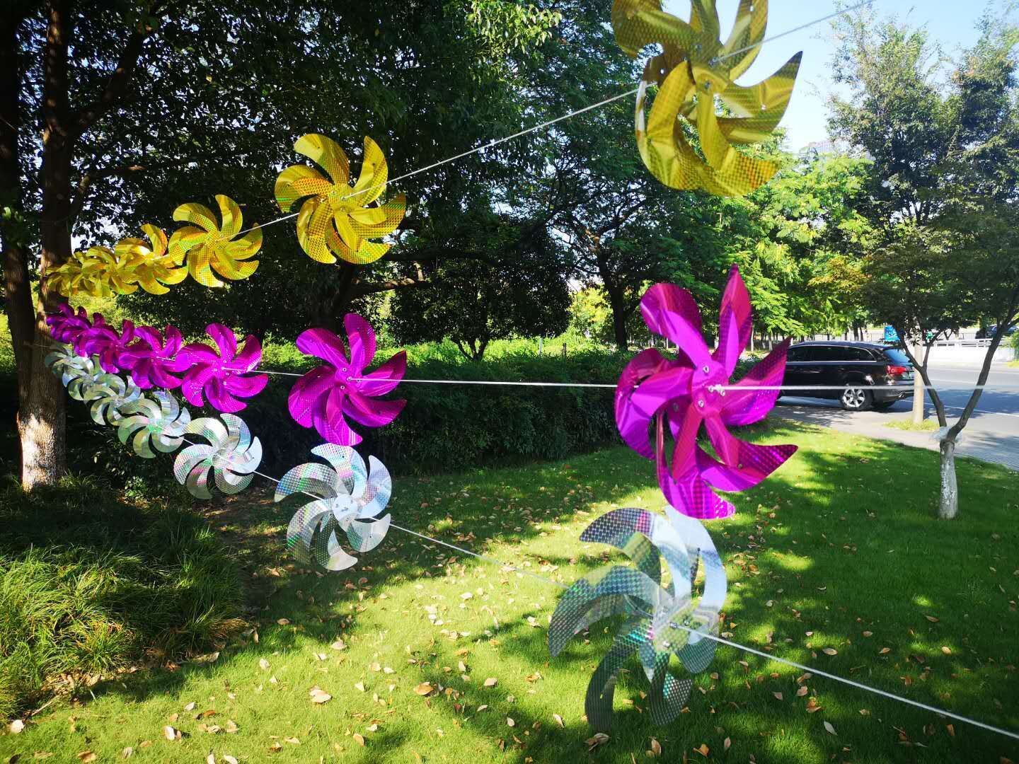 QQ图片20200828135905