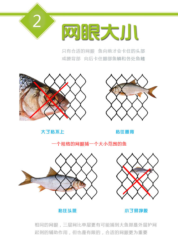 新款_29