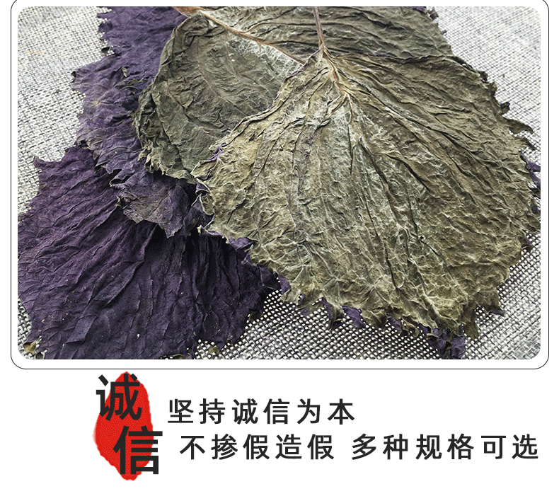 Dried Perilla Leaf Zi Su Ye 500g Farm Sun Dried Culinary Herb for Fish Crab and Shrimp Dishes quality and texture