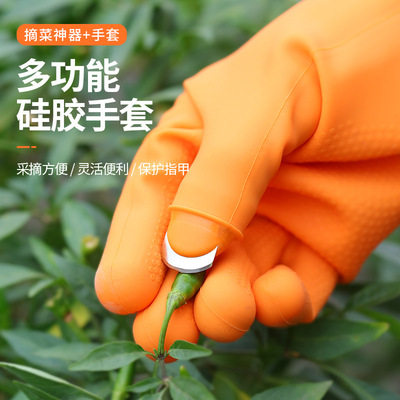 摘菜神器手套掐菜采摘花椒剥毛豆专用铁指甲摘茶叶手套拇指刀角