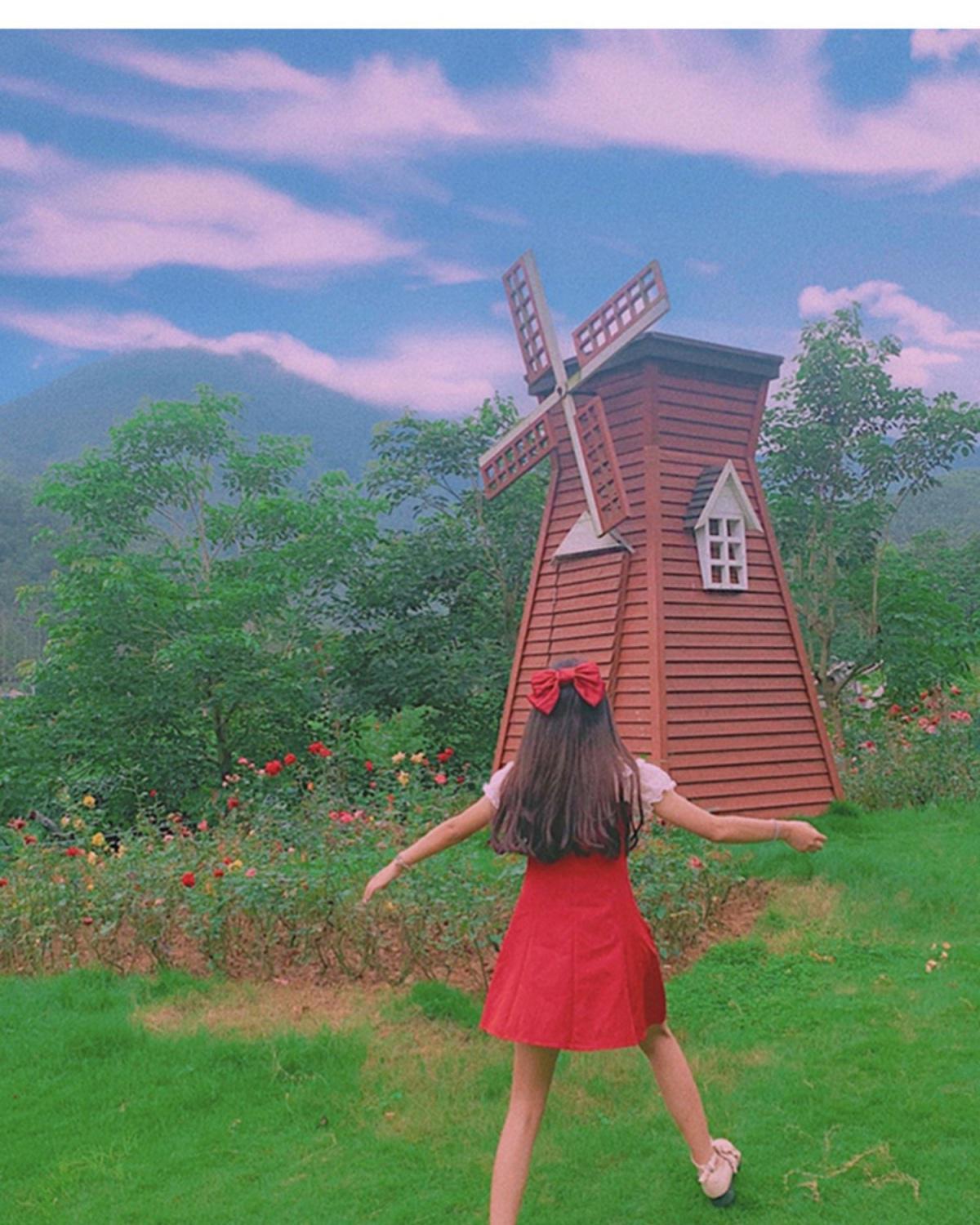 315428dc9d1ce126ee99740f16e426