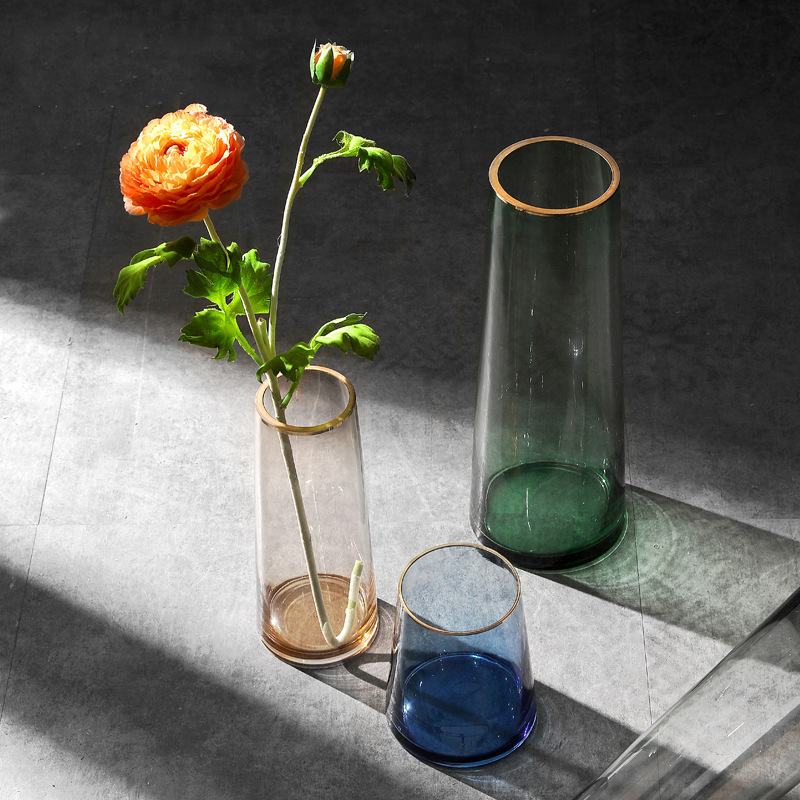 Nordic Color Transparent Gold-rimmed Glass Vase Ornaments Light Luxury Living Room Dining Table Flower Arrangement Home Decoration - 2