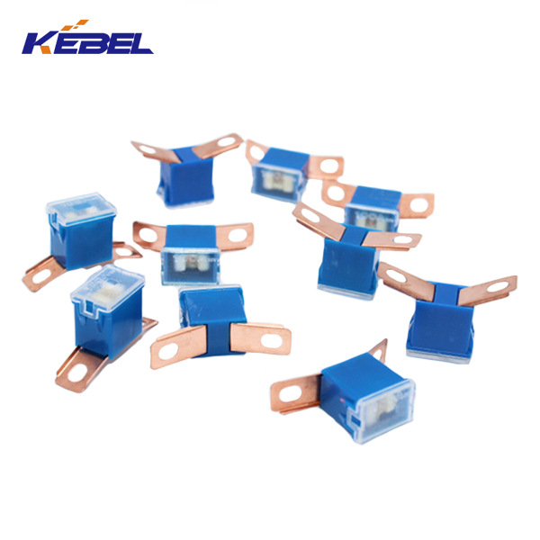 保险丝插片100A 32V方形蓝色保险丝插片10个装在一个盒子里