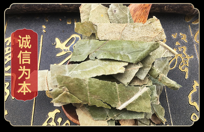 Dried Loquat Leaf Pi Pa Ye Whole Leaves for Herbal Tea and Decoction 500g in use