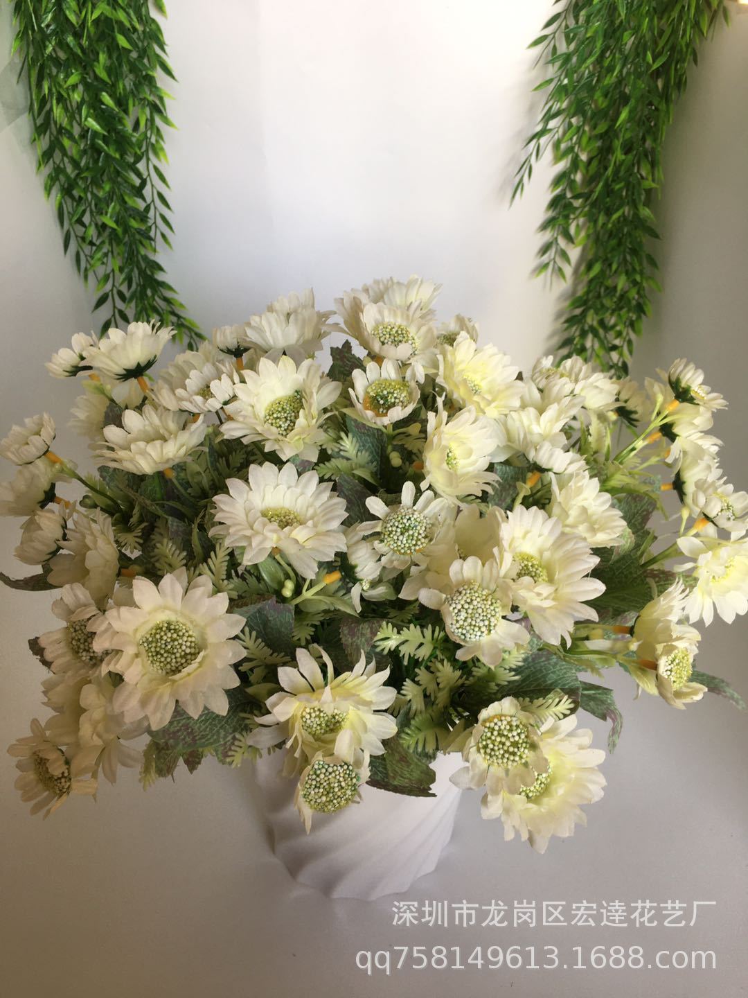 5头10朵路边菊 (3)