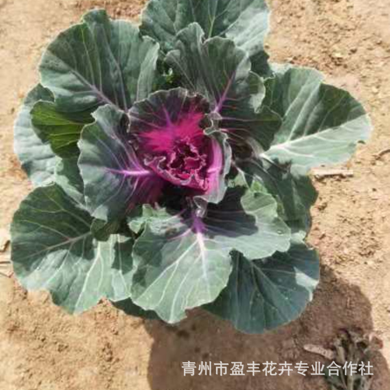 微信图片_20201030155040