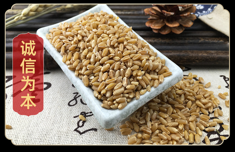 Fu Xiao Mai Dried Floating Wheat Bulk 1 jin 500g Huai Wheat Traditional TCM Herb in use