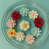 Accessory with accessories, resin flower-shaped