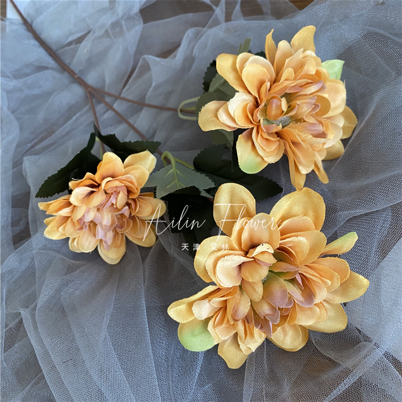 3 autumn colorful flowers