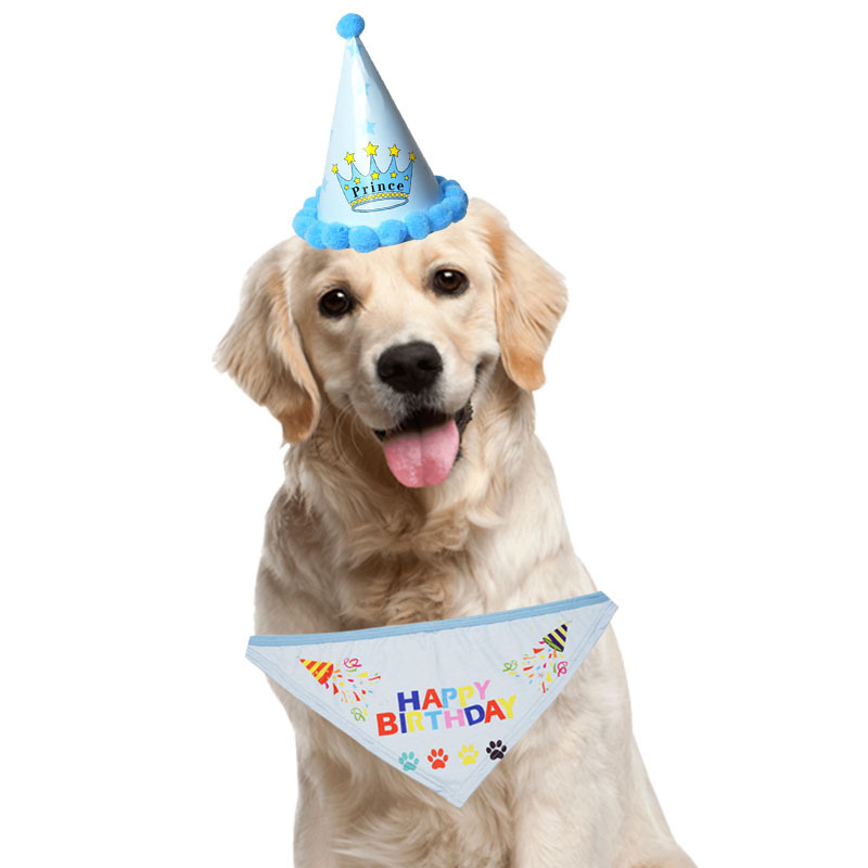 Модельа внешняя торговля творческий собака день рождения кепка домашнее животное день рождения партия шляпа печать домашнее животное собака треугольник