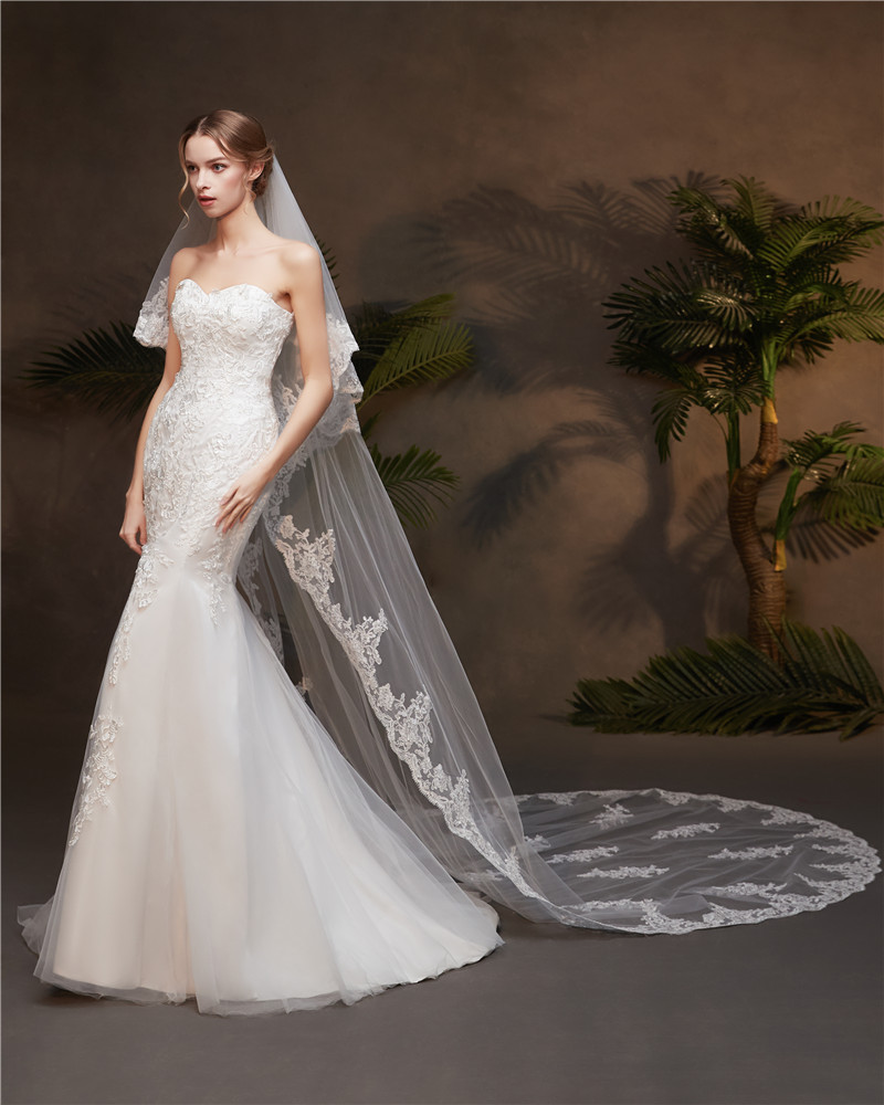2025 new bridal long tail lace applique 3 meters wedding muzhi veil item number HL80 wedding 2