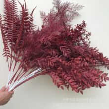 ���滨�Ƽtɫϵ��c���ľƵ��b�·���廨���T�bٻ��tɫ���}