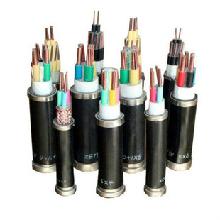 �z�b�����|VV22-0.6/1KV 2X10Ҏ�� VV22�~о�����|��;