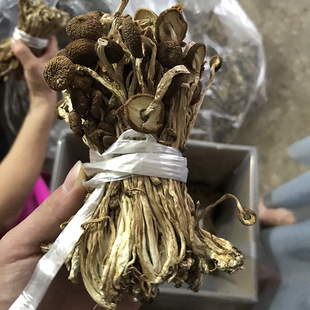 Junzhi Jiangxi Guangchang Tea Tree Dired Cargo 3 желтая шляпа Mushroom Переплет средняя крышка открывающая фабрика зонтика для