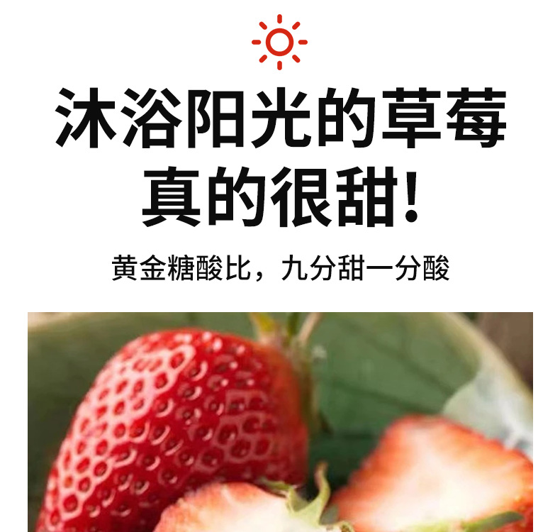 草莓详情_04