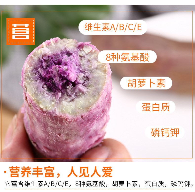 O1CN012P09EI1uADO2nzi7a_!!3220