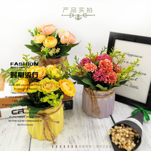 滨մ辰bҾbüٻֲ