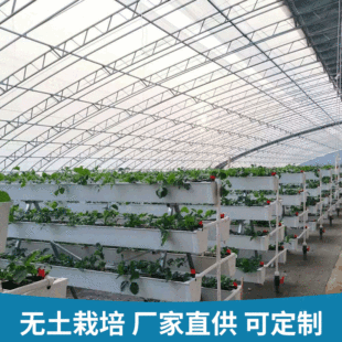 ֱ�������B�����Ҵ�������o�����๤���߲˴����O�����w�o������